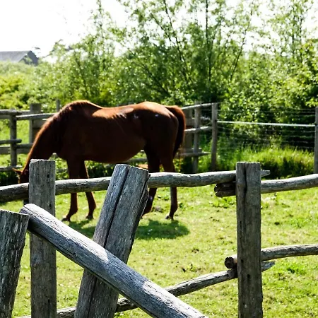 Les 3 Sablières Campeggio Saint-Firmin (Le Crotoy)