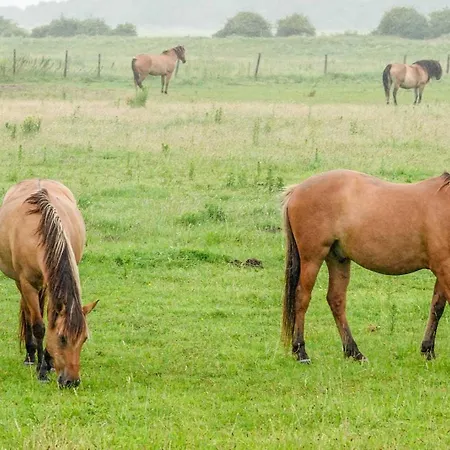 Les 3 Sablieres Saint-Firmin (Le Crotoy)
