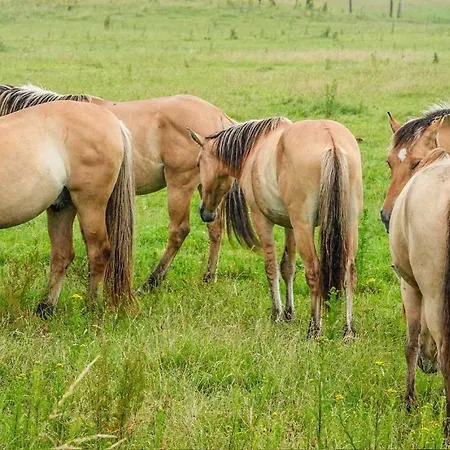 Les 3 Sablières Campeggio 4*